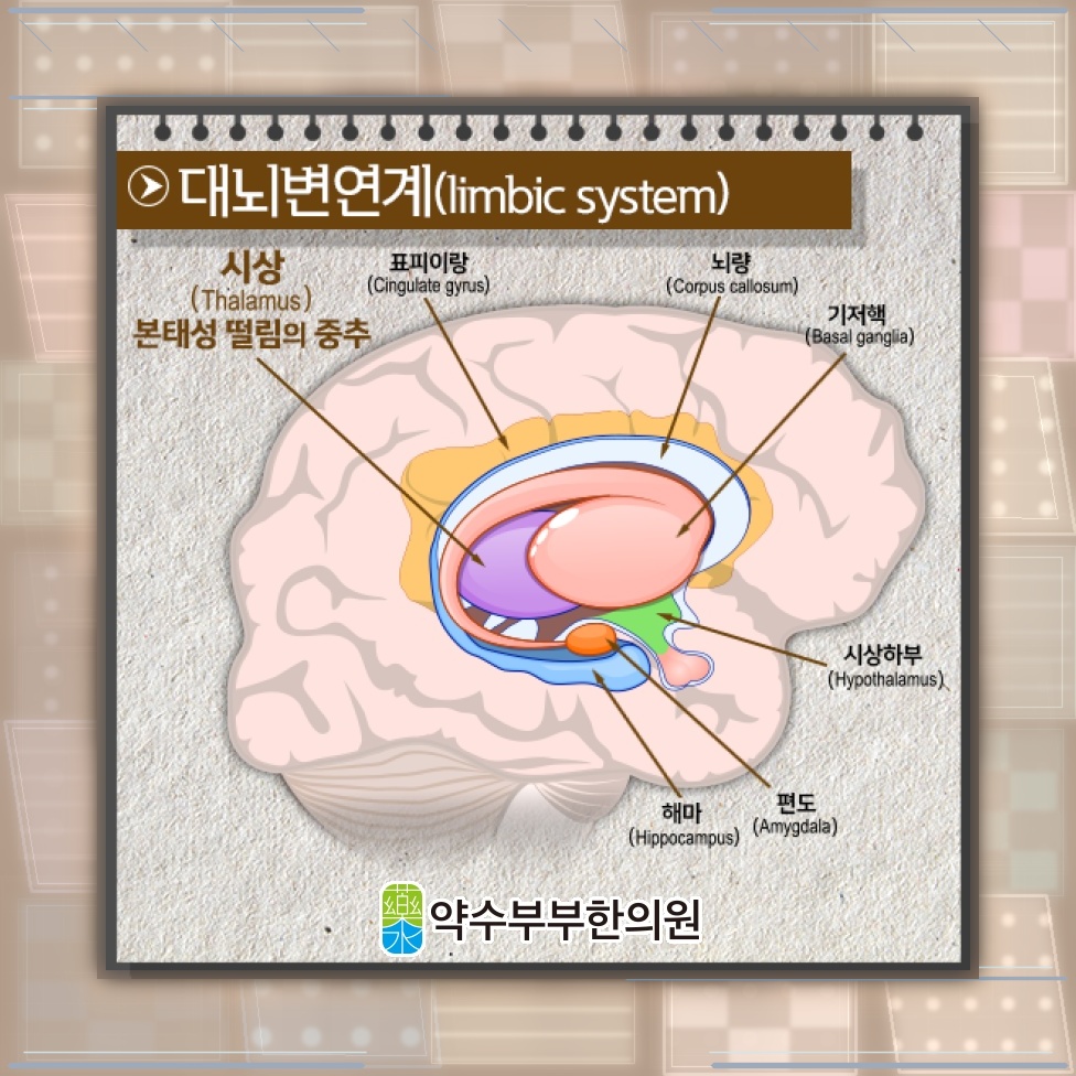 떨림 양상으로 살펴보는 본태성떨림과 파킨슨병의 차이