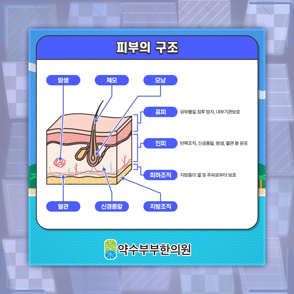 두드러기 증상 완화를 위한 면역 균형 살펴보기