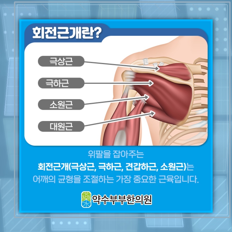 회전근개파열로 밤사이 자세를 바꾸기 어려운 이유