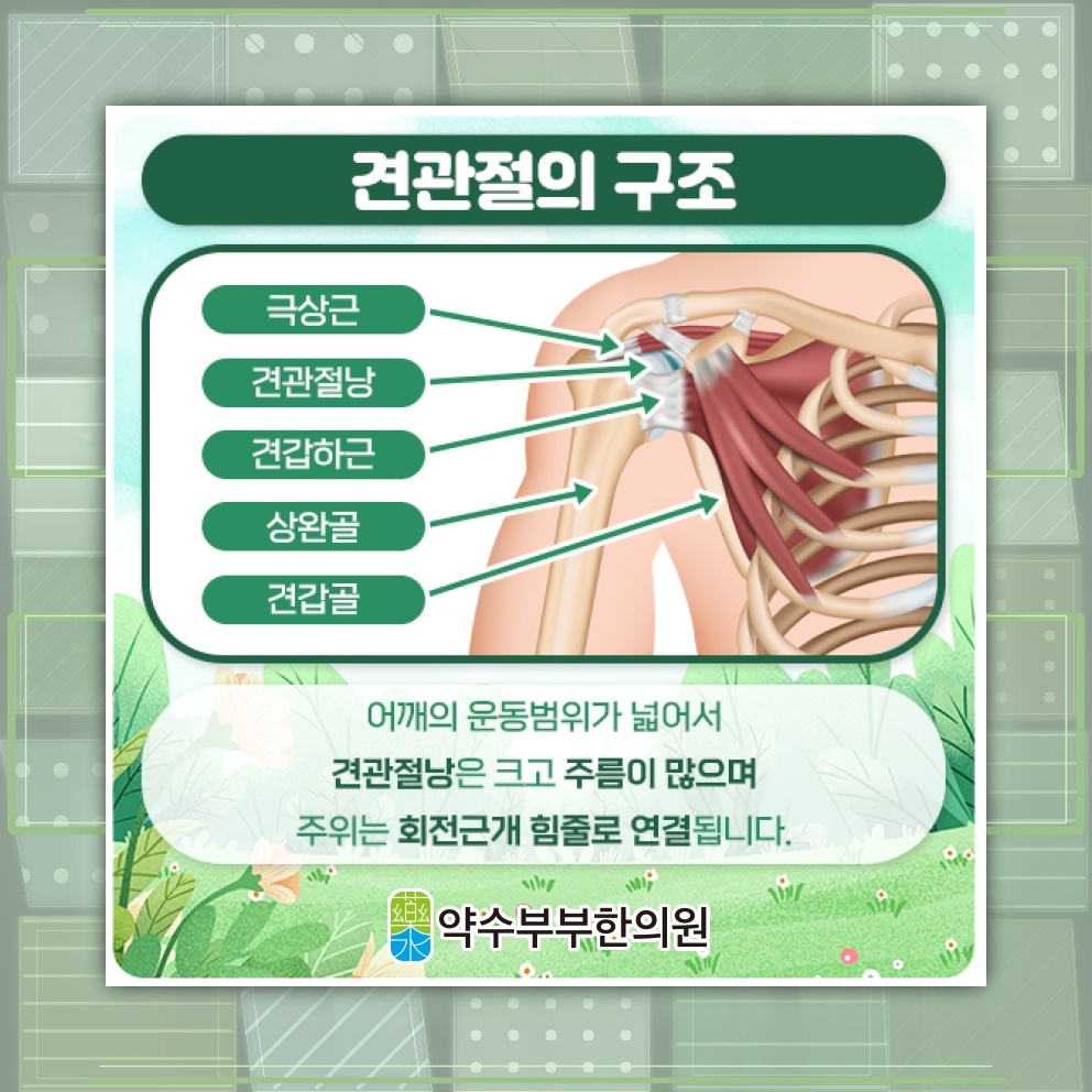 오십견이 진행될 때 어깨 통증을 살피는 방법