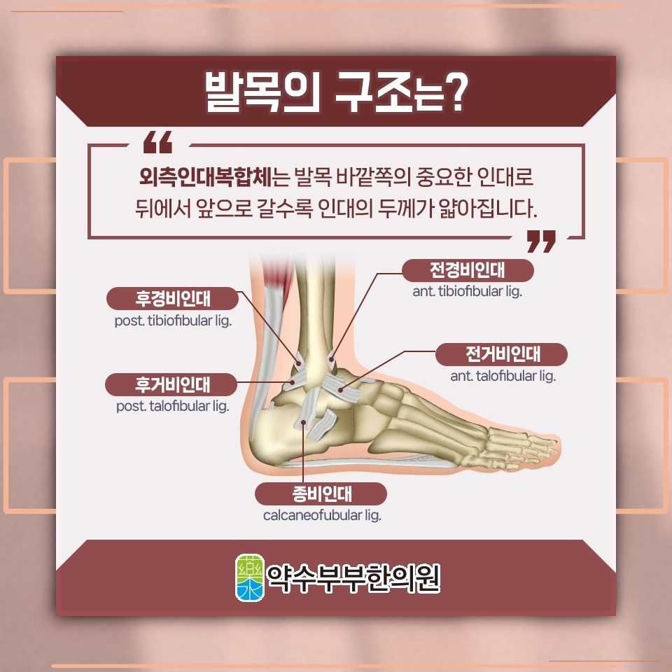 발목염좌 후 남은 부기와 통증, 회복 과정에서 살펴볼 점